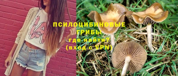 мдпв Тайга