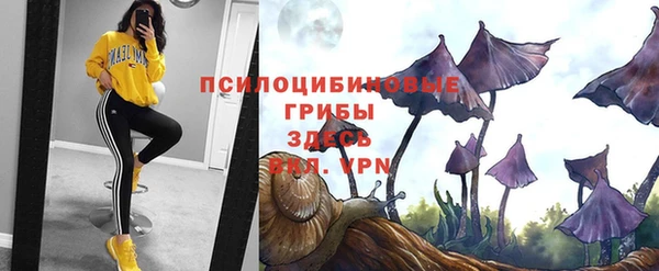 ECSTASY Володарск