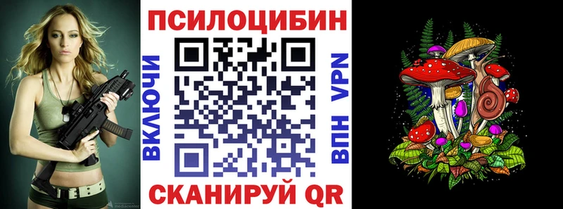 Галлюциногенные грибы Psilocybine cubensis  Владикавказ 