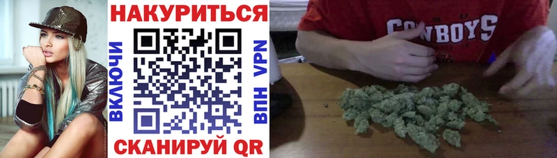 ОМГ ОМГ tor  Владикавказ  Канабис план 